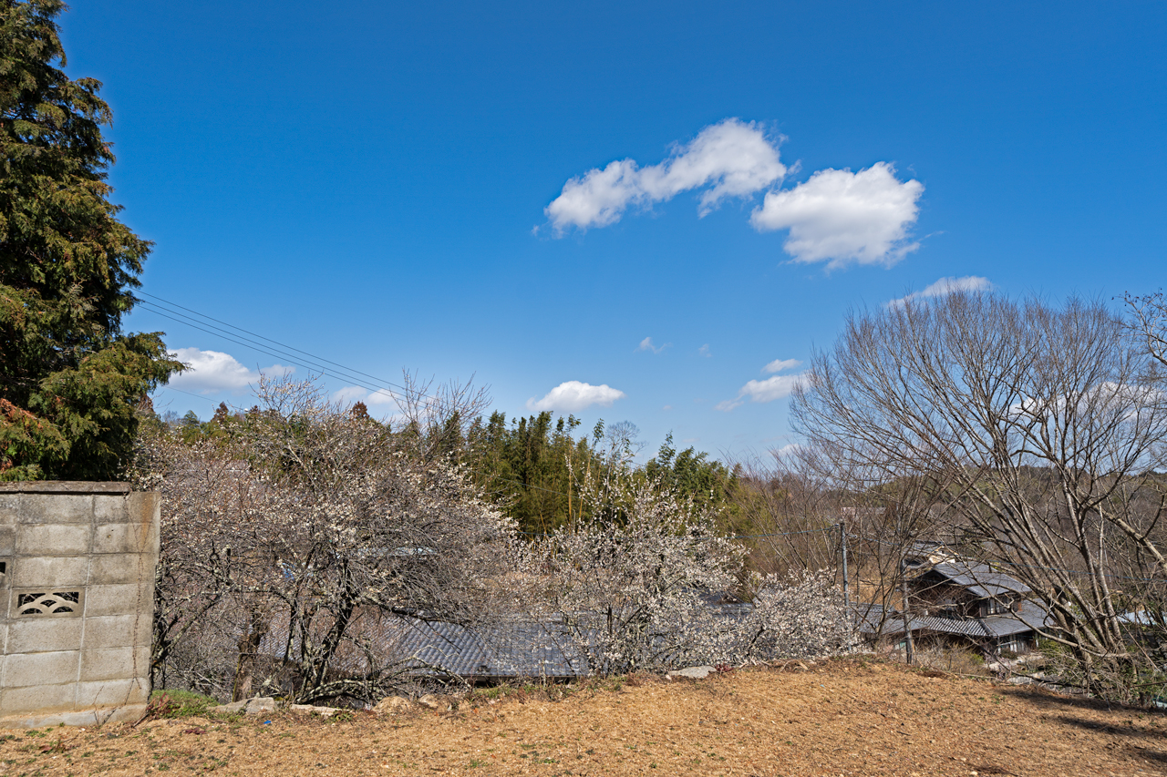 奈良市月ヶ瀬尾山：お庭写真