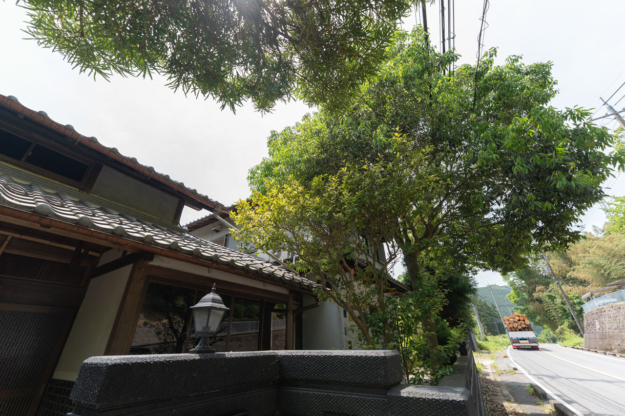 宇陀市榛原山辺三：玄関植栽写真