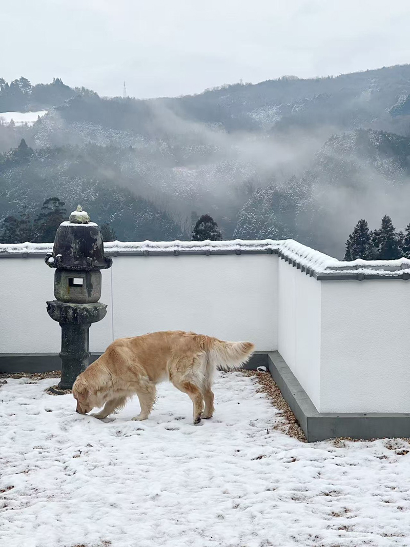 奈良県山辺郡山添村岩屋：四季の景色