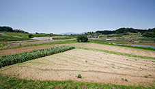 桜井市大字山田