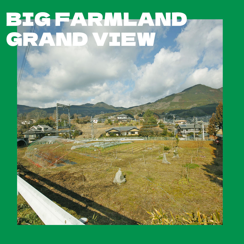 BIG FARMLAND
GRAND VIEW 