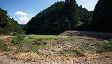 奈良市丹生町