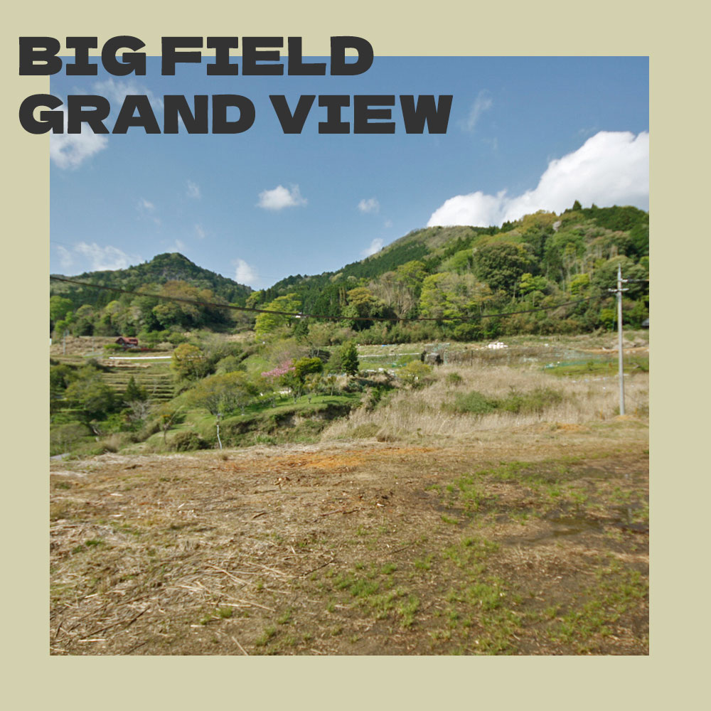 GRAND FIELD
GRAND VIEW 