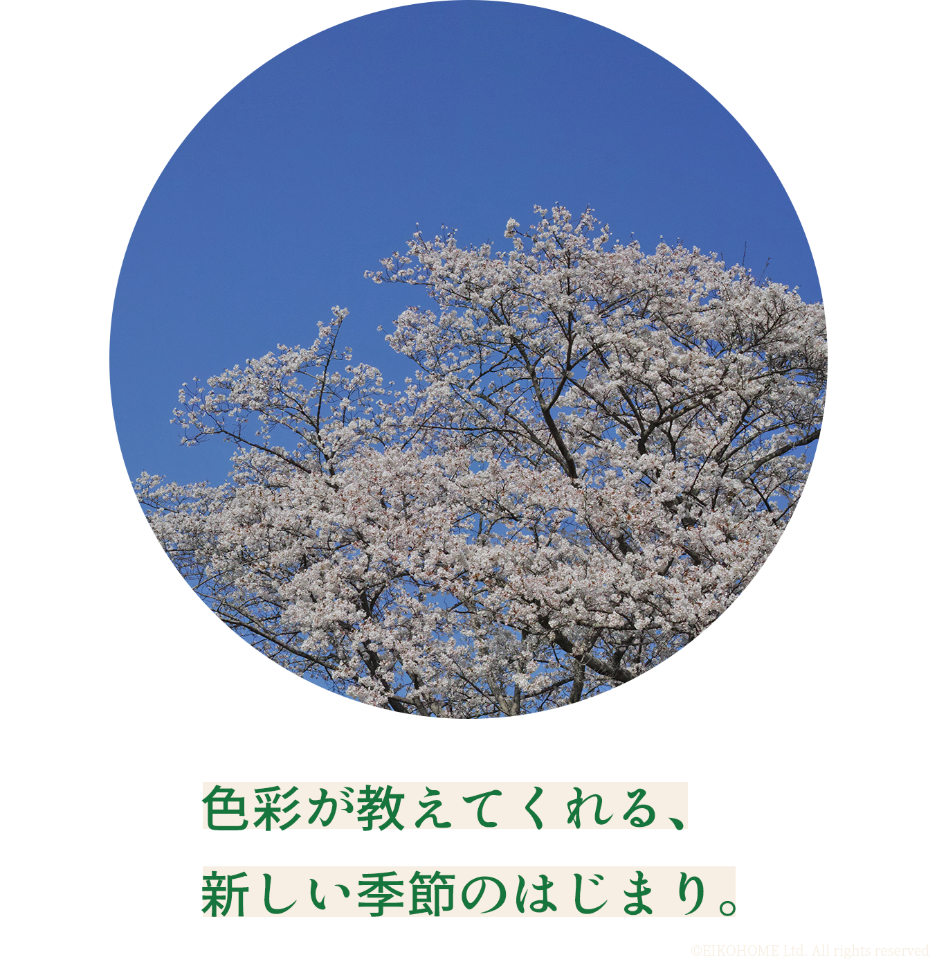 色彩が教えてくれる、新しい季節のはじまり。