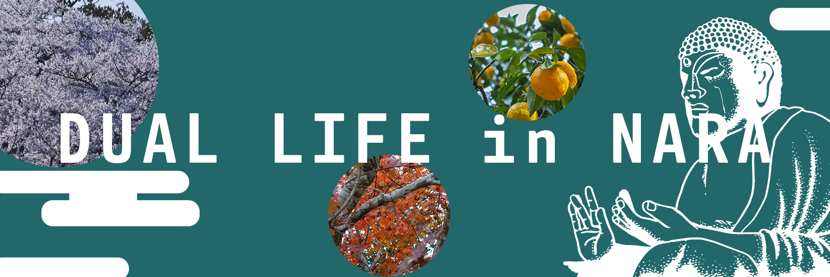 Why Nara for Dual Life