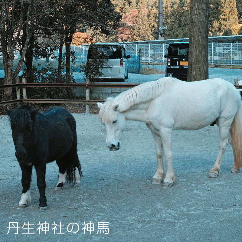 吉野郡下市町黒木：近隣の景色