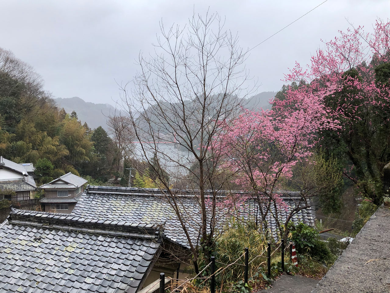 月ヶ瀬湖写真