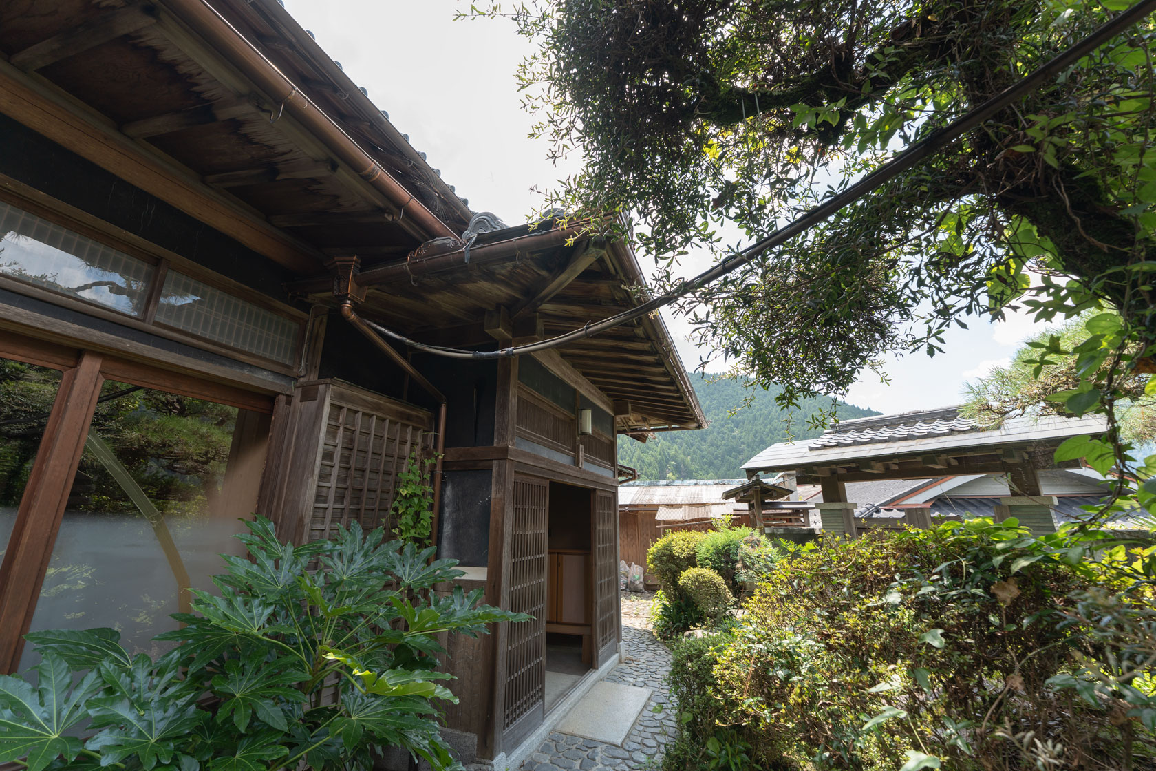 奈良県十津川村大字上野地：庭木に囲まれた建物。