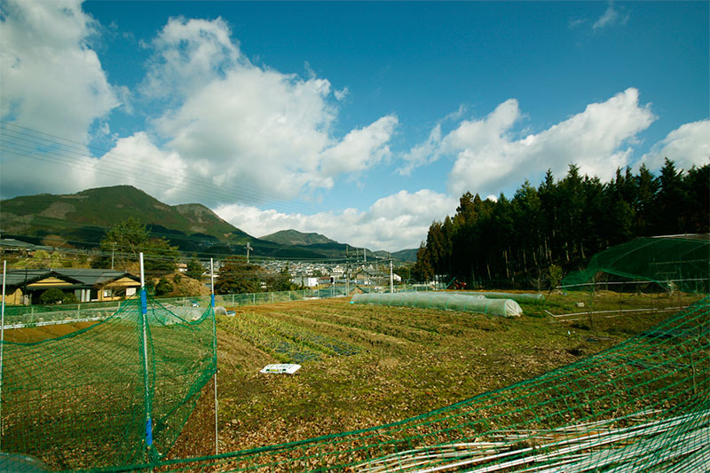 宇陀市榛原大字長峯：現地写真