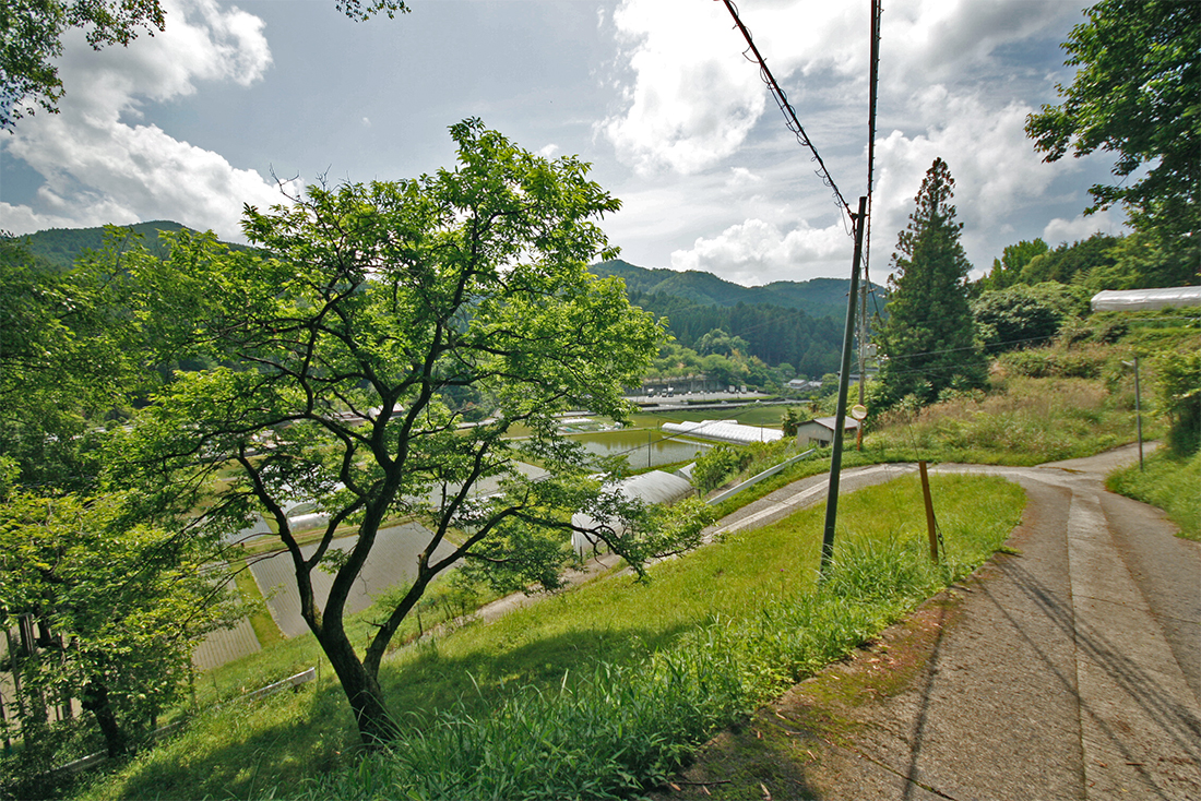 宇陀市榛原自明