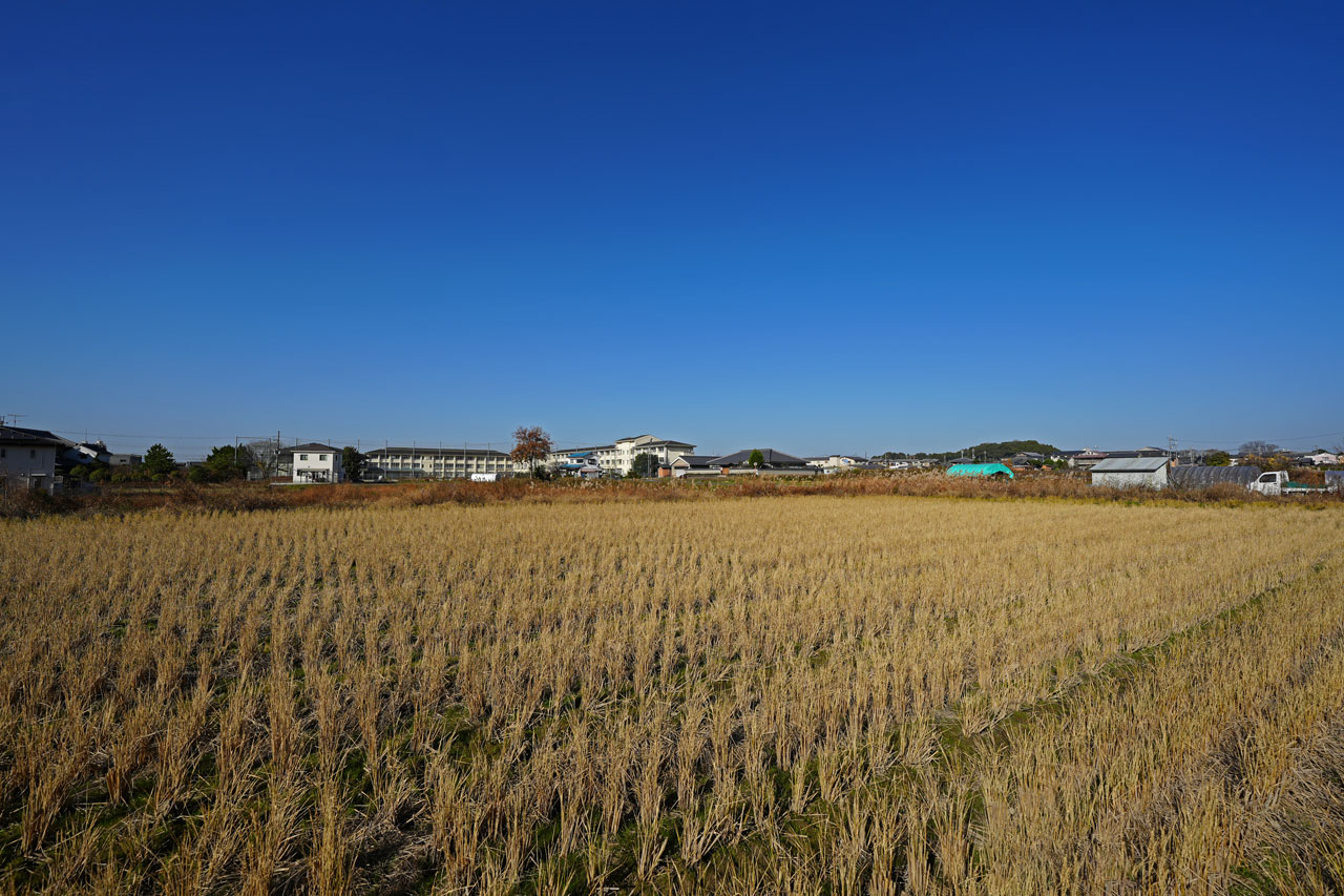 桜井市大字茅原：現地写真