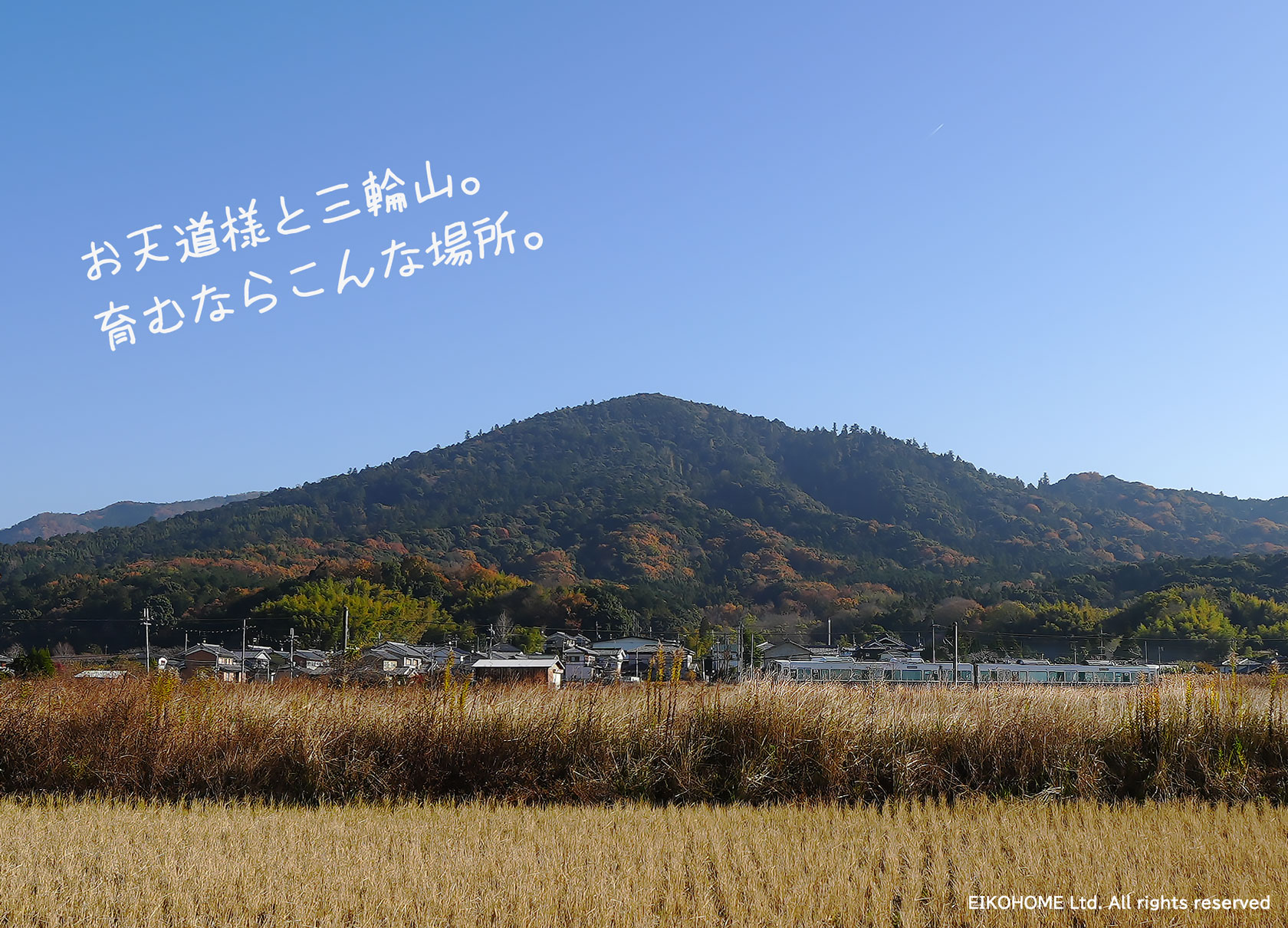 桜井市大字茅原 パノラマ