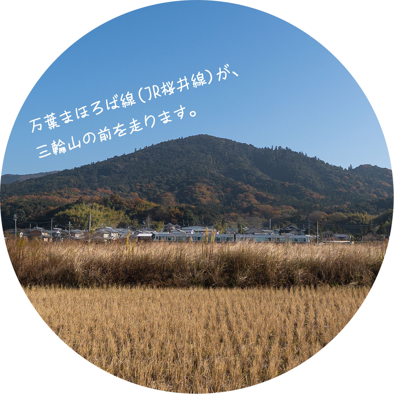 桜井市大字茅原：万葉まほろば線（JR桜井線）が、三輪山の前を走ります。
