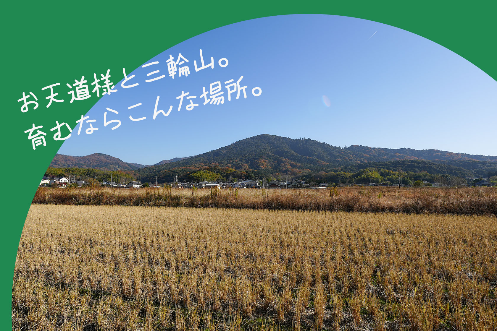 お天道様と三輪山。育むならこんな場所。奈良県桜井市大字茅原